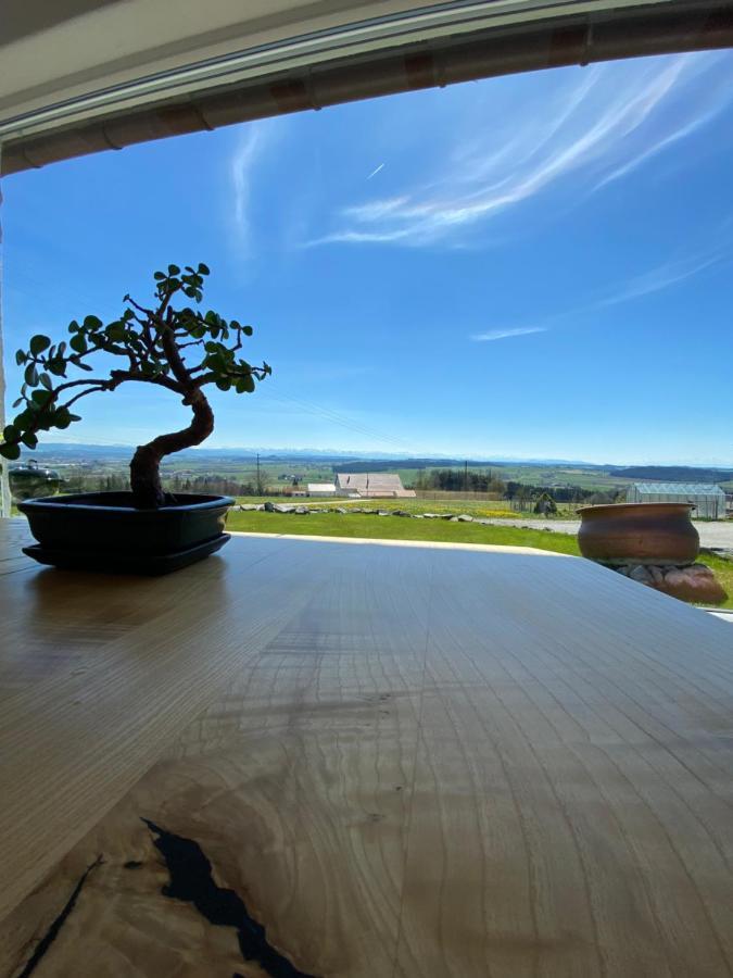 Ferienhaus Alpenblick Auf'M Vorderberg Villa Leutkirch im Allgäu Esterno foto